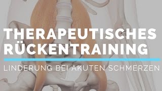 Professionelles Rückentraining gegen akute Schmerzen [upl. by Arthur]