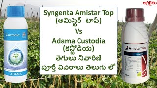 Comparison Syngenta Amistar Top అమిస్టార్ టాప్ Adama Custodia కస్టోడియా fungicides in Telugu [upl. by Lacram]