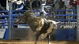 Highway 160 Bull Riding Extreme [upl. by Joane]