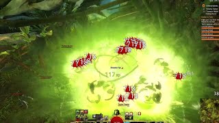 Secrets of the Obscure  Beta  Medium Armor Group  Guild Wars 2 [upl. by Leidag]