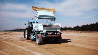 BIBIONE SPIAGGIA SRL PULIZIA E MANUTENZIONE DELLA SPIAGGIA – CLEANUP AND MAINTENANCE OF THE BEACH [upl. by Laurentium869]