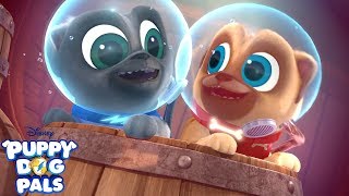 Scuba Doggin  Music Video  Puppy Dog Pals  Disney Junior [upl. by Ytsihc137]