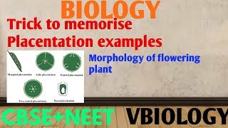 Trick to learn EXAMPLES Of Placentation  FLOWERING PLANTS  Vinay Biology [upl. by Eilrahc]