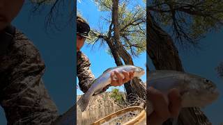 Nambe Lake Stocker🫡fishing outdoors newmexico [upl. by Brunella]