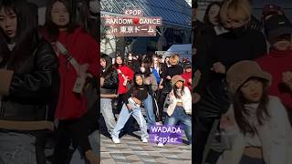 KPOP RANDOM DANCE in 東京ドーム♥️ kpop random dance 東京 wadada kep1er ケプラー ランダムダンス 9歳 小学生 [upl. by Irdua]