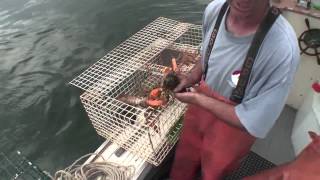 Lobstering From the Bow Seat [upl. by Willms]