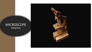 MICROSCOPY  PRINCIPLE LIGHT MICROSCOPE PRINCIPLE  MICROBIOLOGY [upl. by Handel301]