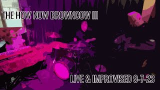 The How Now Brown Cow III  Live Clip from Musicquarium Lounge 9723 [upl. by Aihsad]