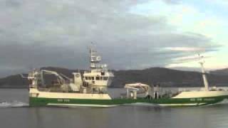 mfv felucca in donegal bay [upl. by Kelbee]