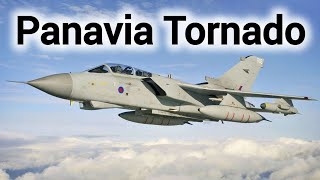 The Panavia Tornado A Sky Warriors Tale [upl. by Nosredneh]