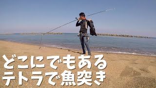 海水浴場でよく見かけるテトラ [upl. by Carter577]