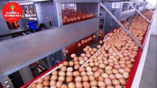 Incredible Largest and HighTech Egg Factory in China and ThailandModern Technology Food Processing [upl. by Ardnossak]