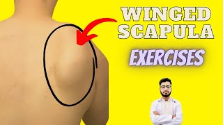 Winging Of Scapula  winged scapula treatment  serratus anterior muscle inactivity [upl. by Eelsel]