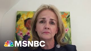 Rep Dean Is ‘Shocked By The Shallowness Of What Is Going On In The GOP’  MSNBC [upl. by Mccandless641]