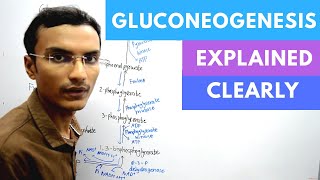 Gluconeogenesis Biochemistry [upl. by Endora]