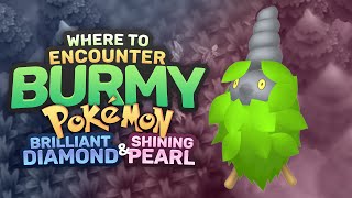 Where to Encounter Burmy  Pokemon Brilliant Diamond amp Shining Pearl  Sinnoh Dex Completion [upl. by Eylhsa]