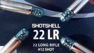 22 LR CCI Shotshell [upl. by Alistair]