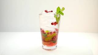 How to Make a Pomegranate Mojito Cocktail [upl. by Walters]