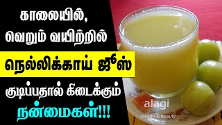 நெல்லிக்காய் ஜூஸ் அற்புத பயன்கள்  Nellikkai Juice  GooseBerry Juice  Amla Juice  Health Tips [upl. by Deehsar941]