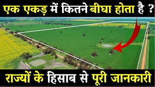 एक एकड़ में कितने बीघा होता है  How many bigha in one acre   Acre to bigha [upl. by Terrel181]