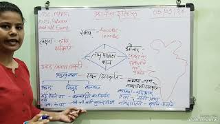 chalcolithic period iron age amp megalithic period  Ancient History of India  upsc  mppscAll Exam [upl. by Aitropal]