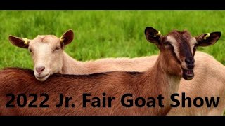 Jr Fair Goat Show  2022 Richland County Fair [upl. by Marijn]