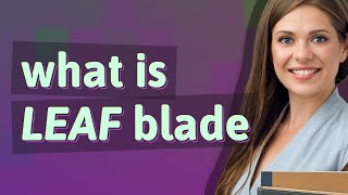 Leaf blade  meaning of Leaf blade [upl. by Oettam]