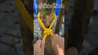 Buntline Hitch knot rope diy shorts tiktok viralvideo ideas handmade lifehacks [upl. by Hippel989]