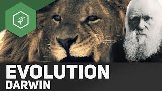 Evolutionstheorie von Charles Darwin [upl. by Mickie714]