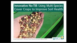 Innovative NoTill Using MultiSpecies Cover Crops to Improve Soil Health [upl. by Hinkel]