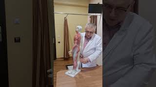 Hernia de disc si sciatica tratate fără operație herniededisc cluj cj romania durere europa [upl. by Annelg120]