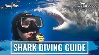 Great White Shark Diving Guide Martyn  at Guadalupe Island [upl. by Powel]