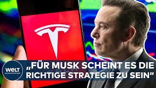 TESLA  IST DER LACK AB Darum will Elon Musk sogar weniger Geld verdienen  WELT Thema [upl. by Horst800]