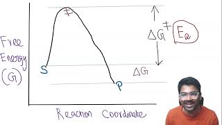 How Enzymes Cut Through Activation Barriers Explained [upl. by Newel]