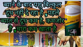 गाय भैंस को Anabolite mix Enerdyna Zyda milk देने से क्याक्या फायदे होते [upl. by Nelaf]