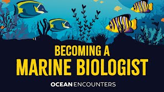 Ocean Encounters Becoming a Marine Biologist [upl. by Lindsay]