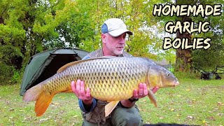 Carp Fishing With Homemade Garlic Boilies  My First Mirror Carp [upl. by Portuna]