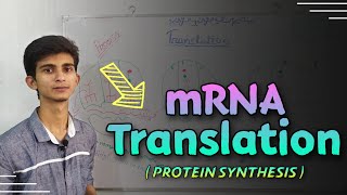 Translation Protein synthesis explained in bangla  Biochemistry [upl. by Norbie828]