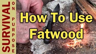 How To Use Fatwood To Start A Fire  Fatwood  My Favorite FireStarter [upl. by Zeuqcaj]