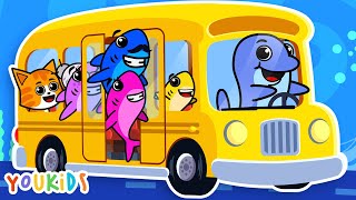 Wheels on the Bus with Baby Sharks  YouKids Nursery Rhymes [upl. by Satterfield]