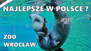 🇵🇱 Najlepszy Ogród Zoologiczny w Polsce Wrocław  Poland  Afrykarium  Africarium 2023 [upl. by Pattison]