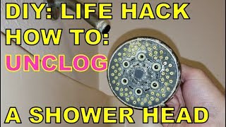 DIY LIFE HACK Clean a Shower Head FOR PENNIES [upl. by Rosmunda97]