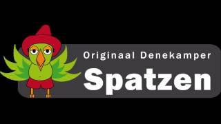 Originaal Denekamper Spatzen – Wie Bint [upl. by Rosy]