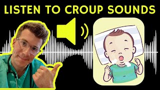 Doctor explains Croup with real example of Croup sounds  Barking Cough in children [upl. by Langsdon171]