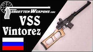 VSS Vintorez Russias Silent Sniper Rifle [upl. by Anecuza]