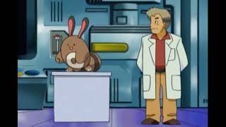 professor oak getting attacked by sentret [upl. by Annij]