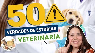 ESTUDIAR VETERINARIA 🦮🐈 50 VERDADES DE MEDICINA VETERINARIA Y ZOOTECNIA [upl. by Auqenat]