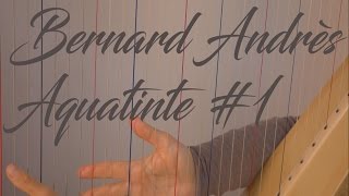 Bernard Andrès Aquatinte 1 [upl. by Egan934]