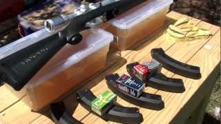 What is the most effective 22 LR round [upl. by Potash]