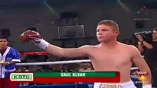 Saul Alvarez  Michel Rosales [upl. by Mcgurn]